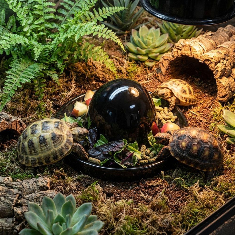 Plastic Reptile Feeder Bowl Round Wear Resistant Reptile Water Pot Wide Mouth Escape Proof Turtle Food Dish for Small Pets