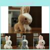 Adorable Porte-clés Lapin en Peluche Animal en Peluche Lapin Charm de Sac Cadeau d'Anniversaire Mignon