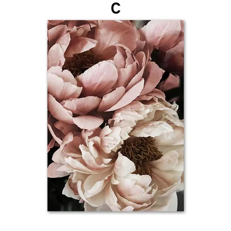 Natural Wall Art Canvas Painting Pink Rose Flowers Plant Landscape Posters And Prints Wall Pictures For Living Room Home Decor