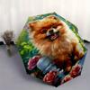 Pomeranian, Garden Theme 8 Bone Hand Automatic Folding Umbrella, Compact and Portable Design, A Perfect Gift for Birthday, Christmas or Busi