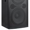 Runpu Professional Dual 15-inch Passive Conference Speaker (CN version)