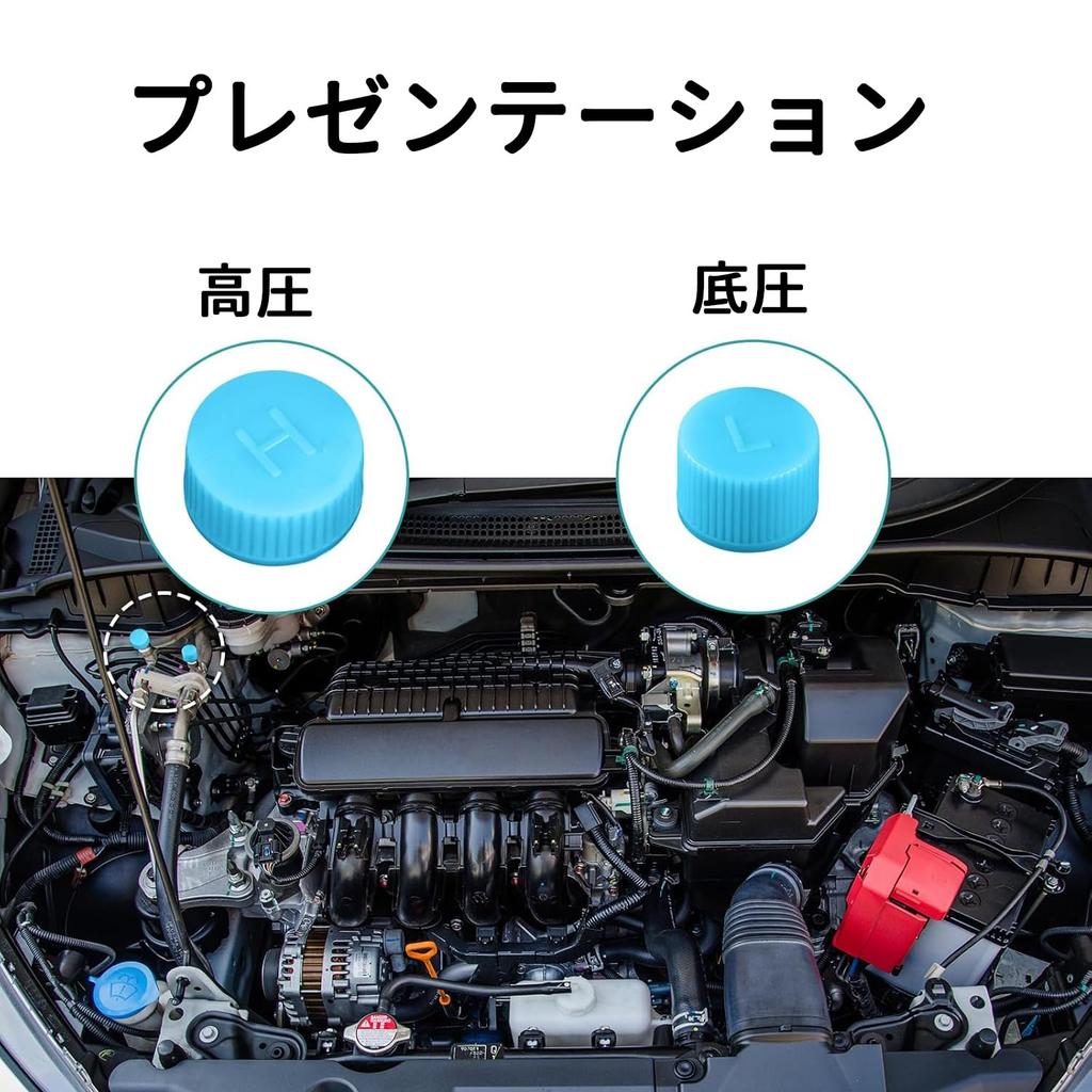 Stoooduo 10pcs AC Cap High Pressure H Low Pressure L Replacement Valve Caps for