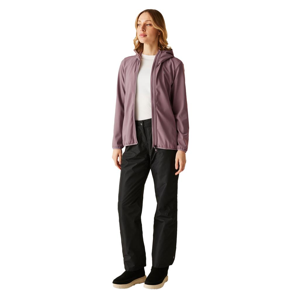 Dare 2B Womens/Ladies Iced Soft Shell Jacket