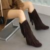 Autumn Winter Women Boots Fashion Tassel Suede Women's High Boots Luxury Casual 3cm Low Heels Fashion Long Party Shoes Female