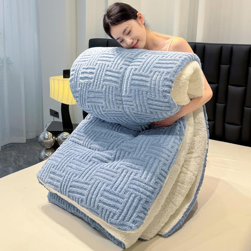 Solid color Tafu velvet jacquard quilt core autumn and winter quilt warm velvet simple wind thick quilt