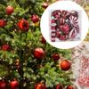 16 Pieces Christmas Decoration Hanging Pendant Photo Props Decorative Gifts Ornament Celebration for