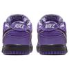 Nike SB Dunk Low Concepts Purple Lobster BV1310-555