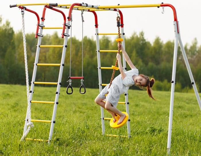 Swing Plate with Inserts