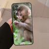 Cute Baby Monkey Animal Case For Honor X9b X9a X8a X7a X6a X6 X7 X8 X9 8X 9X Honor Magic 5 Pro 50 70 90 Lite Cover