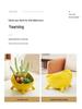 Nordic Ceramic Flower Pot: Succulent & Cactus Desktop Bonsai Ornament