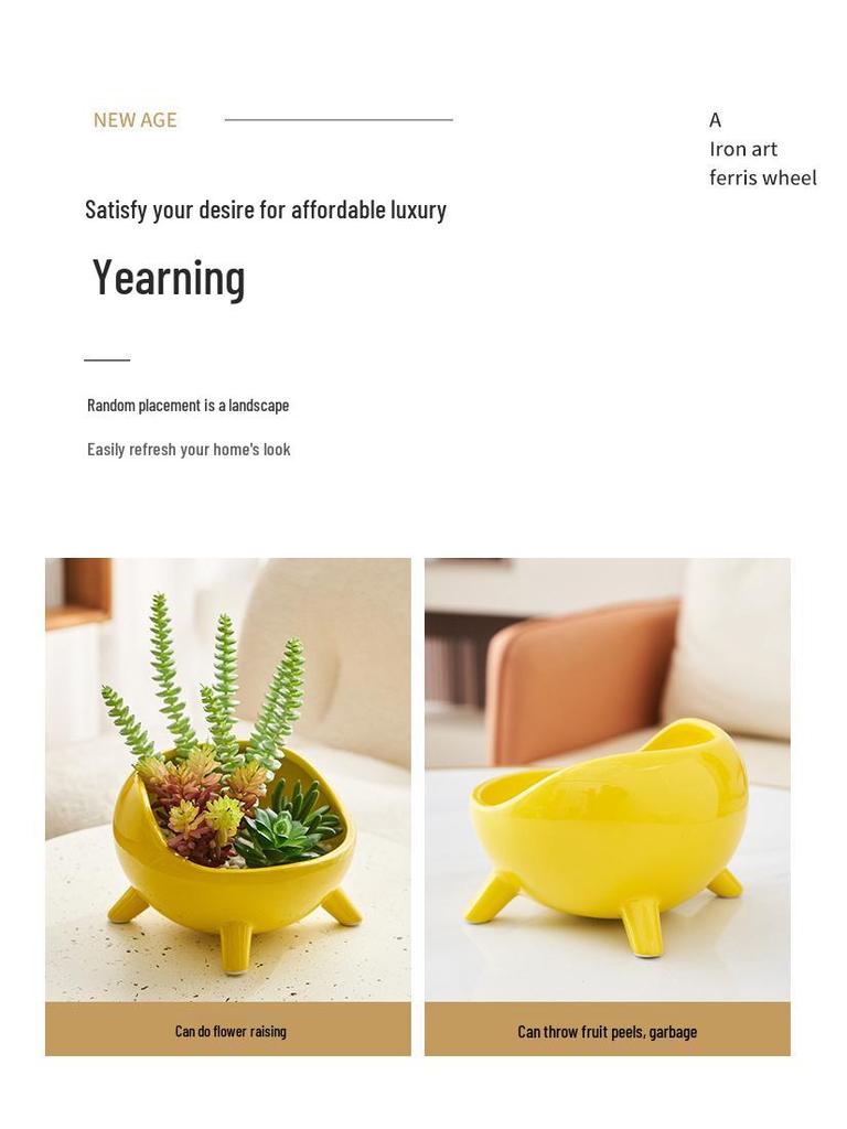 Nordic Ceramic Flower Pot: Succulent & Cactus Desktop Bonsai Ornament