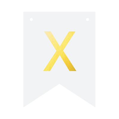 Diy Banner 16X12 - Letter X