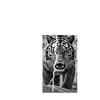 Black Lion White Tiger Stripe Water-Absorbent Quick-Drying Bathrobe Sports Shawl Towel Special Equipment and Supplies For Beach