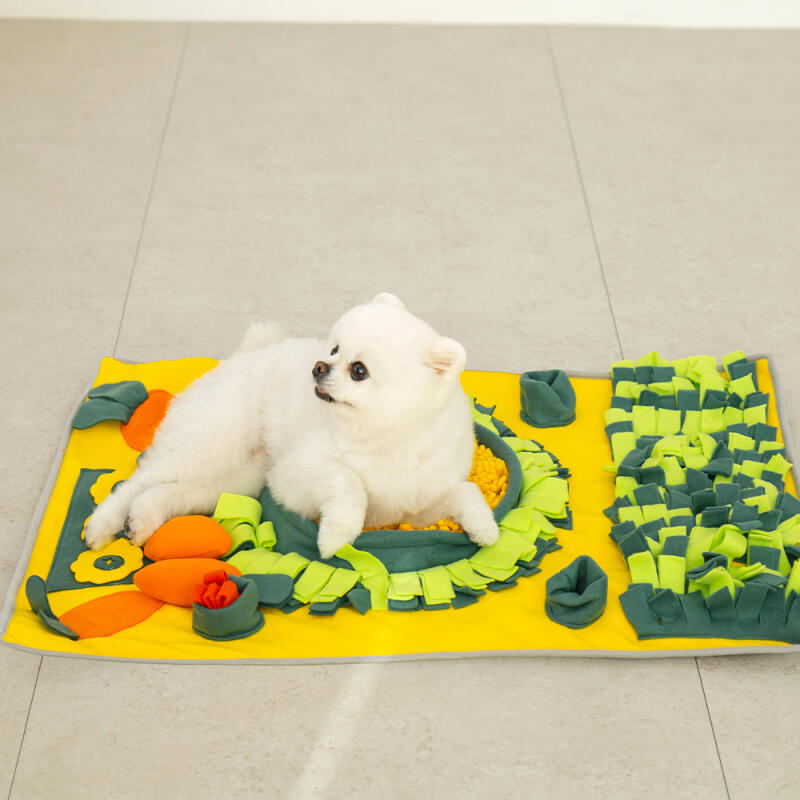 Hund Nasearbeit Große Decke mit Karottenfleck-Spielzeug 80x60