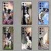 Tier Border Collie Hund Handyhülle Für Samsung S21,S22,S23,S30,Ultra,S20,Plus,Fe,Lite,Note,10,9,5G Schwarze Weiche Hülle