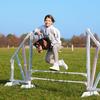 Hobby Horse A3 | Stick Horse | Hoppihorse Bay | + Accessory Set