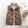 Elegant Slim Sleeveless Vest for Middle-Aged Women - Autumn/Winter Collection