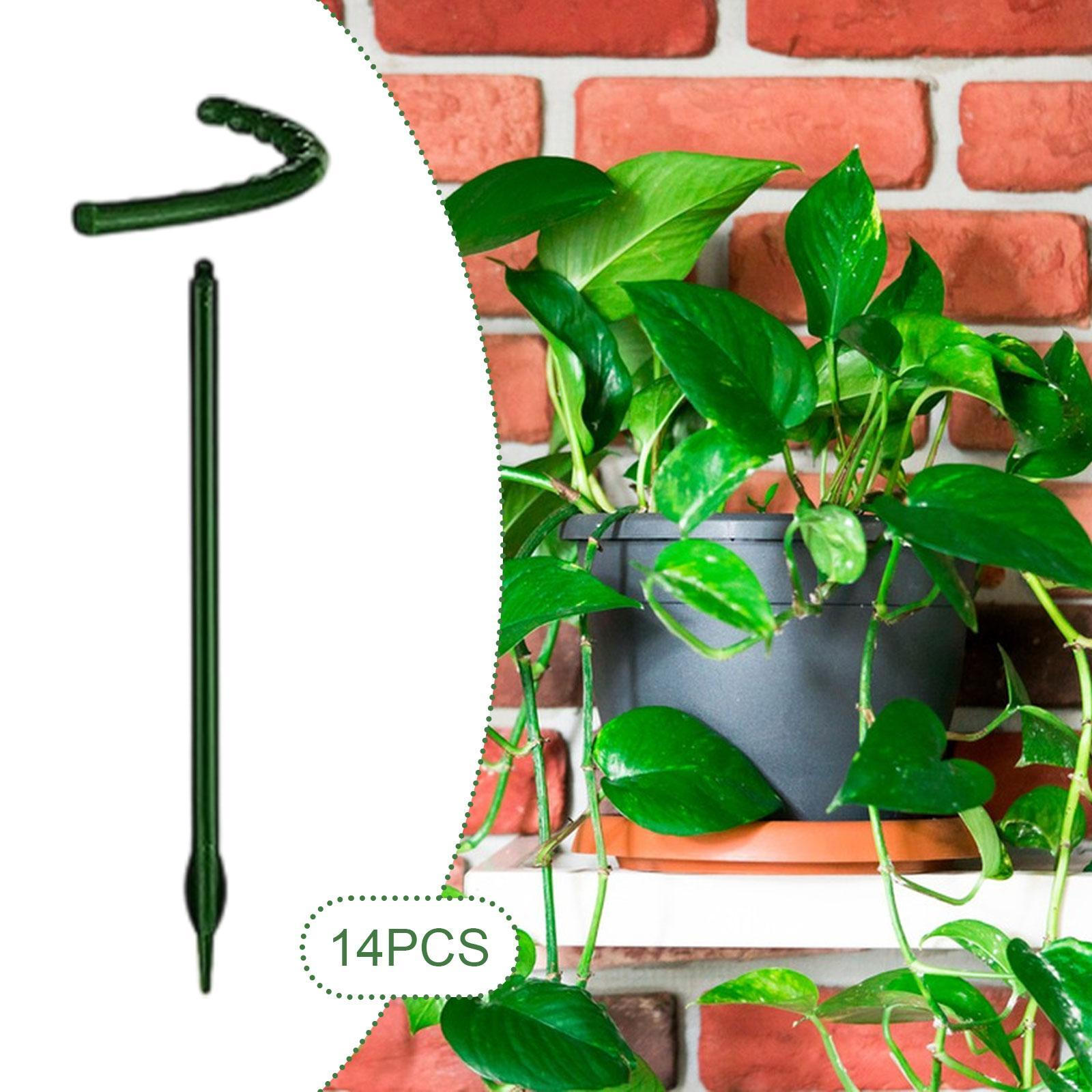 

14 штук опор для растений, предназначенных для поддержки вьющихся сортов 14cmx14cm