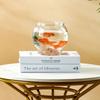 Round Small Fish Bowl Transparent Goldfish Tank Portable Aquarium  Home Decor