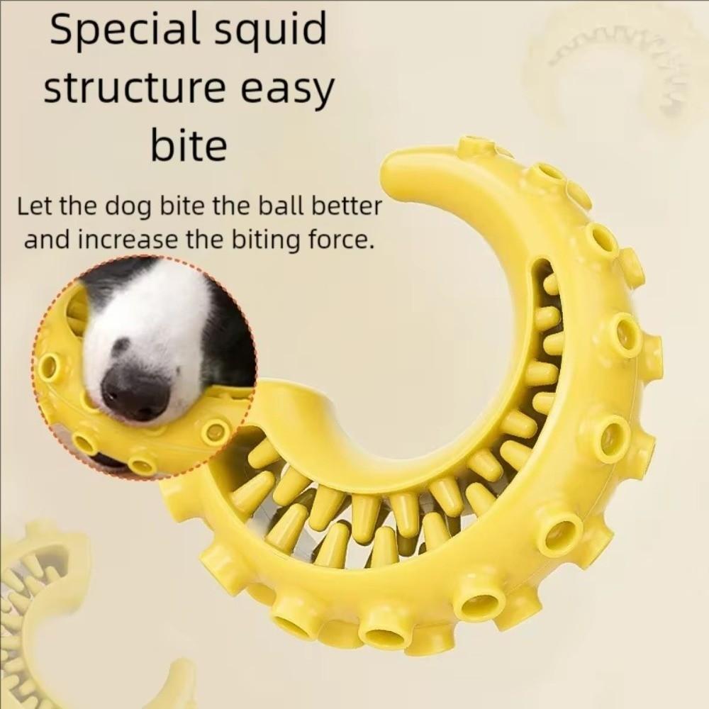 High Quality Bite-resistant TPR Pet Dog Chew Design Teeth Cleaning Dog Teeth Cleaning Pet Supplies for Small Medium Dogs