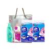 Rejoice Holiday Home Cleaning & Care Combo Set