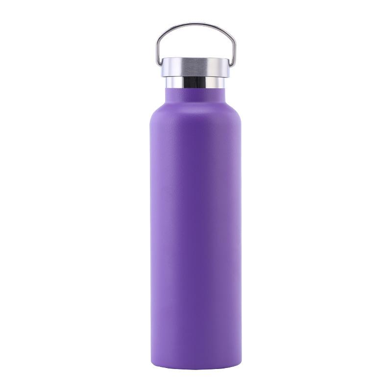 Stainless Steel Water Bottle with Handle Lid, Double Wall Vacuum Insulated Bottle for Sports Hiking Gym