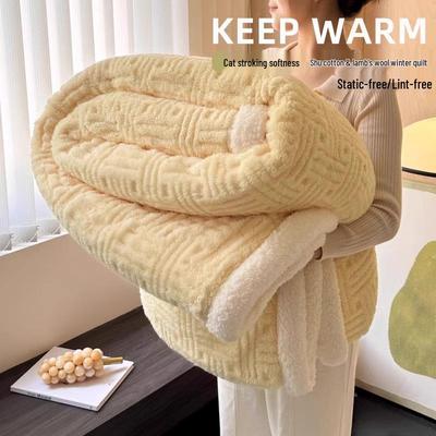 Lambswool Coral Fleece Winter Blanket - Thick Warm Single Sofa Throw for Office or Nap.