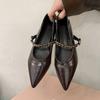 Designer Vintage Women Mary Jane Shoes Pointed Toe Shoes Laides Comfort Dress Street Style Low Heel Shoes