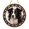 2D Flat Acrylic Border Collie Stained Glass Style Sun Catcher,Round Acrylic Window Hanging Decoration, Animal Theme, Home Decor for Living Room Office