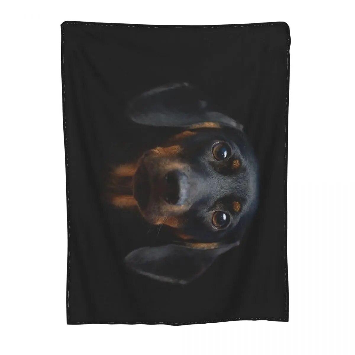 

Одеяла для собак таксы, бархатные одеяла с колбасой Doxie, многофункциональные супер теплые пледы для домашнего дивана, покрывало 75x100cm