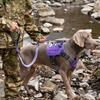 Elastic Buffer Reflective Dog Leash