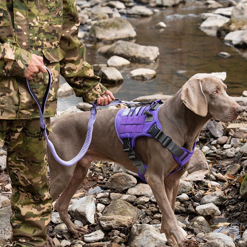 Elastic Buffer Reflective Dog Leash