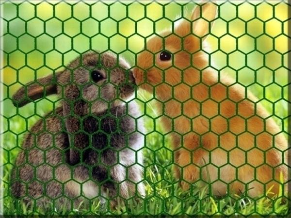 Malla hexagonal para vallas verde 0,5 m x 5 m 40 mm