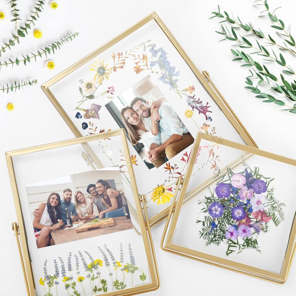 Gold Picture Frame Set - /w 68 Pcs Dried Flowers and Tweezer - Double Glass Frame for Pressed Flowers, Pressed Flower Frames for Handicrafts, Photo