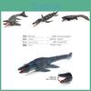 Hochwertiges PVC Jurassic Dinosaurier Modell Spielzeug Realistischer Meereskönig Plesiosaurus Sammlerfigur