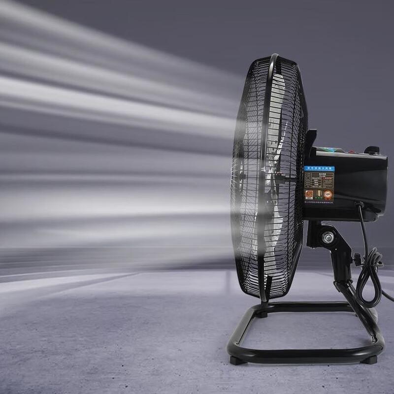 Xuan Yong 16-inch Oscillating Convertible Fan