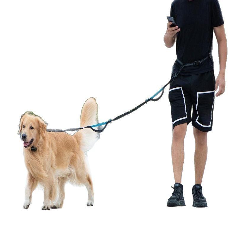 Multifunctional Reflective Waist Bag with Bungee Dog Leash