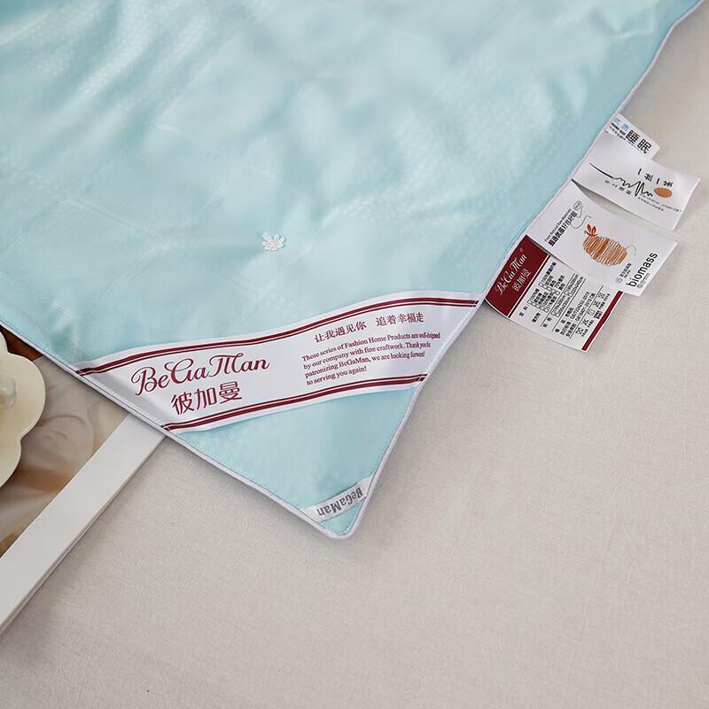 Beggman BGM-B2460 Floating Paris Mulberry Silk Quilt