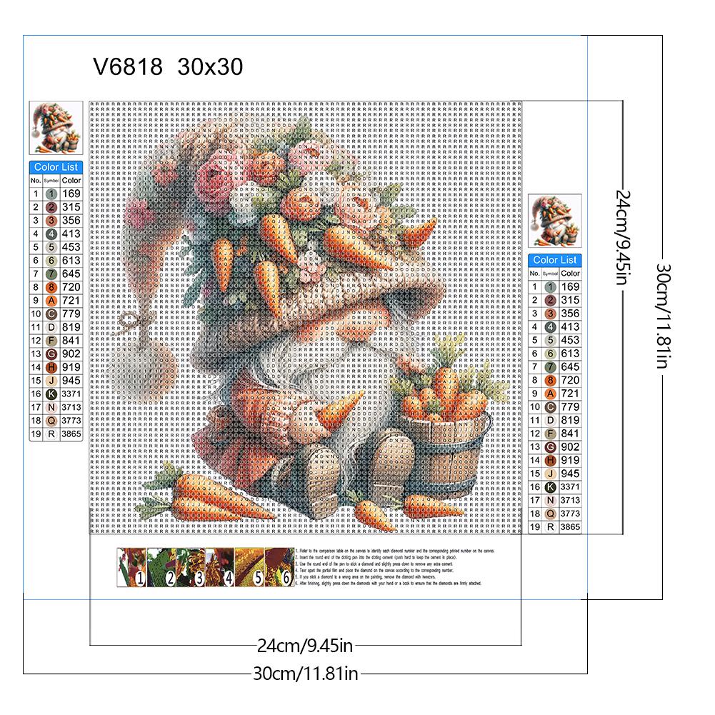 5D DIY Full Round Drill Diamond Painting Gnome Kit Home Decor Art Craft 30x30cm