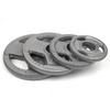 Pure Iron Hand Grip Barbell Plates
