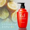 [Quasi-drug] Kaki No Sachi Medicated Anti-odor Body Wash with Persimmon for Men 450mL - Deodorant for Aging Odor Control