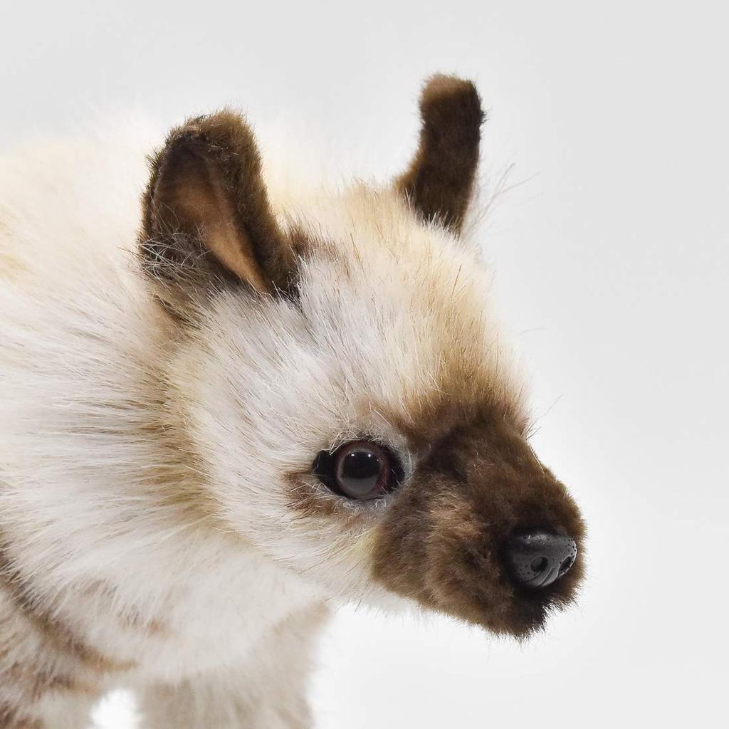 BH6210 HANSA Striped Hyena 33