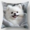 1/4Pc Pillow Covers Featuring Pomeranian Dog Theme, Comfortable And Smooth Pillowcase Square Cushion Case Polyester Home Decor