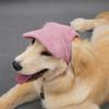 Dog Baseball Cap Leaking Ears Golden Fur Labrador Pet Hat Big Dog Cap