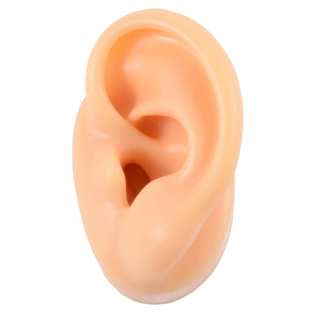 Acrylic Earring Display Stand with Soft Silicone Ear Model Jewelry Display and Storage