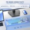 LTC Nimbleback NB981 Bezprzewodowa mechaniczna przewodowa klawiatura RGB 98 klawiszy oprogramowanie do gier niestandardowe przełączniki liniowe 95% klawiatura, klawiatura 2.4G/BT/USB-C, tłumik 3-warstwowy,