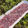 Pink Spinel Tumbled Stone Ornament for Decoration, Phone Case, Nail Art & Children's Science Exploration.