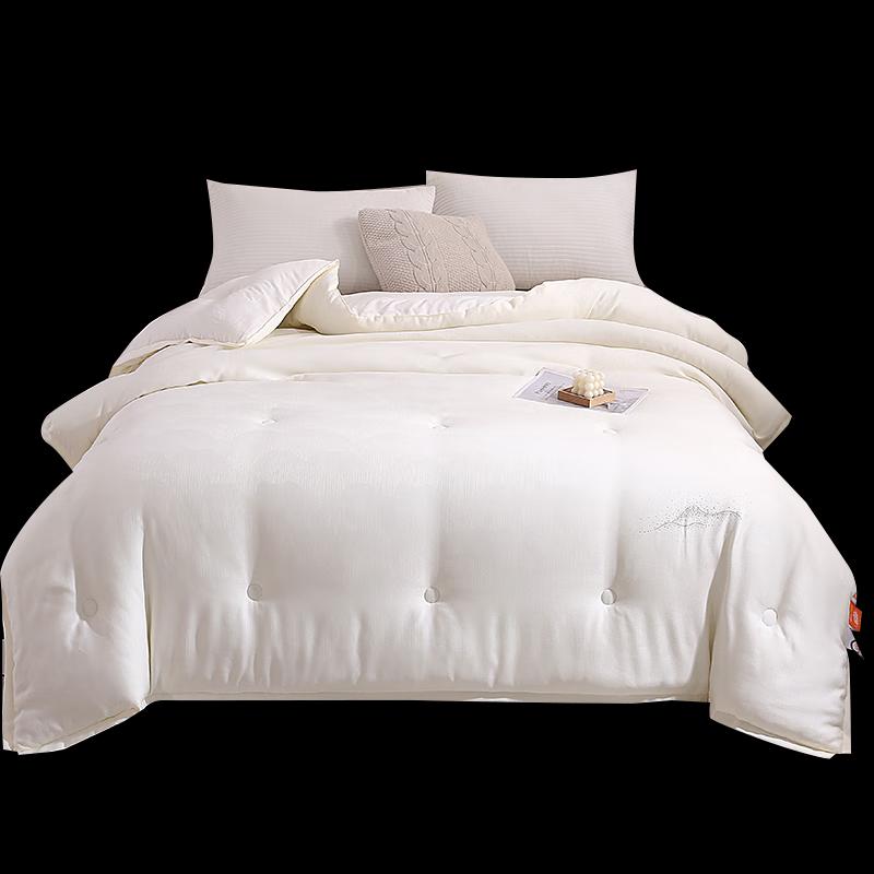 

Youmengjiaju Smart Thermal SPA Quilt