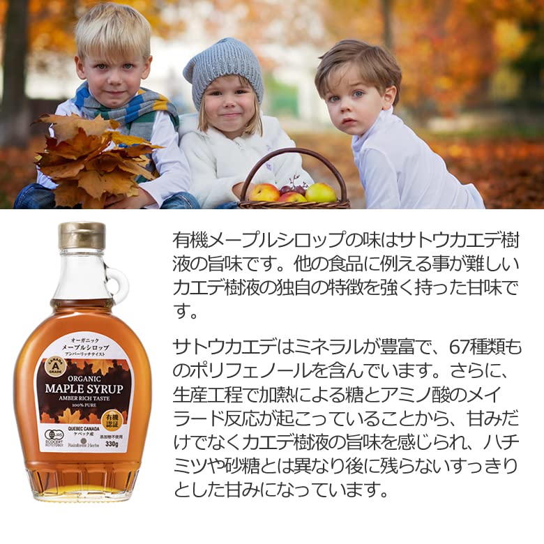 Rainforest Herbs JAS Certified Organic Maple Syrup 330g Amber Grade A Quebec No Additives Rich Taste