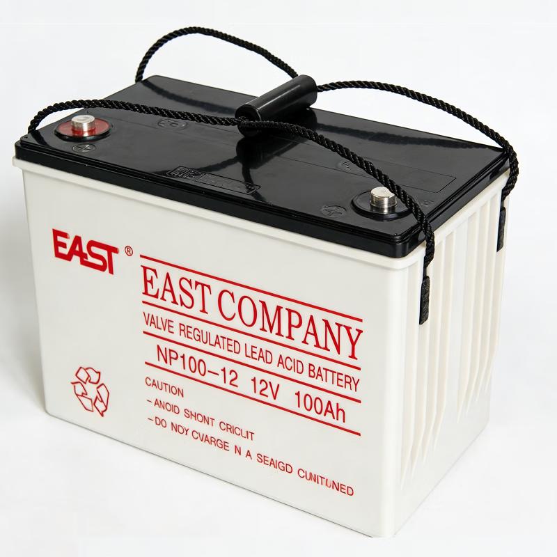 EAST NP100-12 UPS Maintenance-Free Lead-Acid Battery CN plug (adapter included)